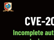 CVE-2025-55177